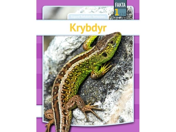 Krybdyr | Sigurd Toftdahl Terkelsen