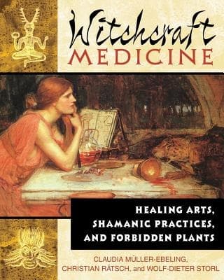 Witchcraft Medicine 9780892819713