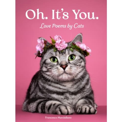 Oh. It's You. (inbunden, eng)