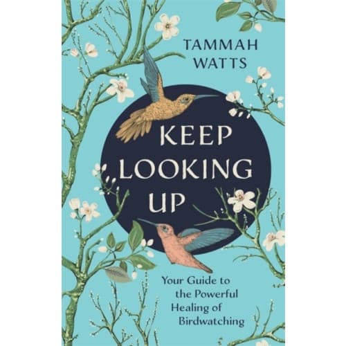 Keep Looking Up (häftad, eng)
