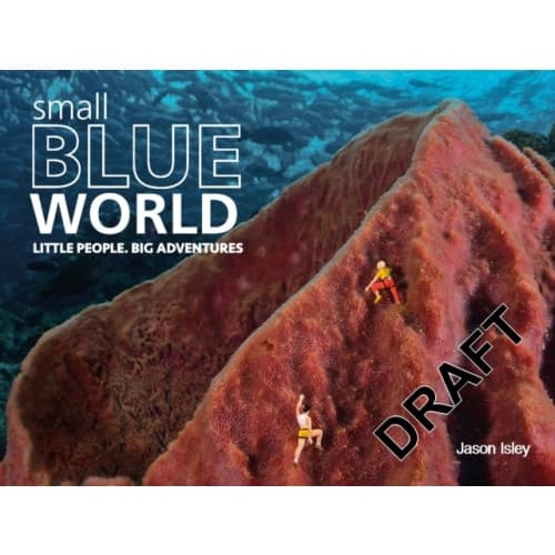 Small Blue World (inbunden, eng)