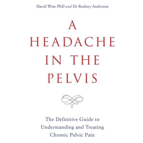 A Headache in the Pelvis (häftad, eng)