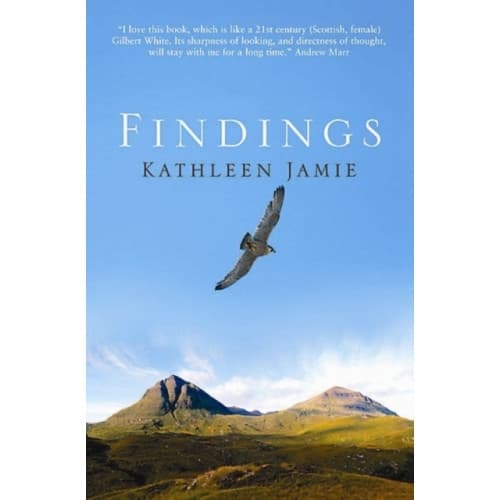 Findings (häftad, eng)