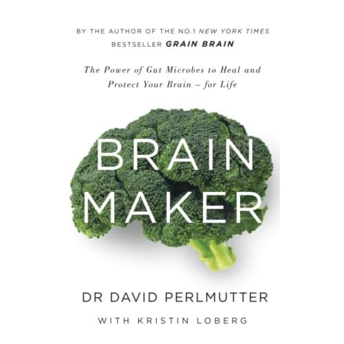 Brain Maker (häftad, eng)
