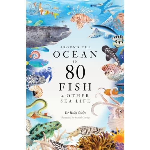 Around the Ocean in 80 Fish and other Sea Life (inbunden, eng)