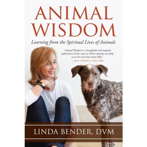 Animal Wisdom (häftad, eng)