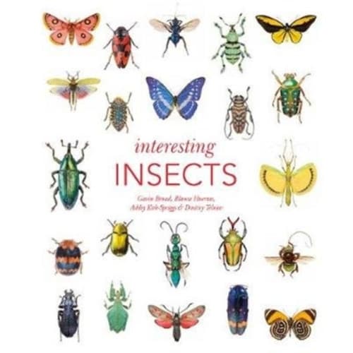 Interesting Insects (inbunden, eng)