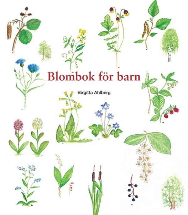 Blombok för barn 9789198940718