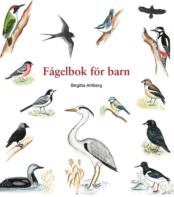 Fågelbok för barn 9789198940701