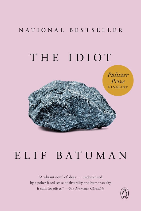 The Idiot 9780143111061