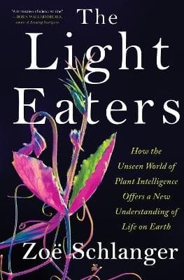 The Light Eaters 9780063073852