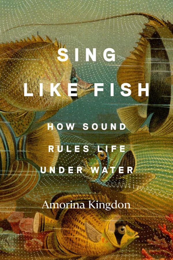 Sing Like Fish: How Sound Rules Life Under Water 9780593442777