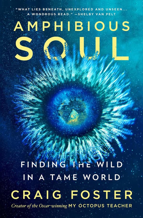 Amphibious Soul: Finding the Wild in a Tame World 9780063289024