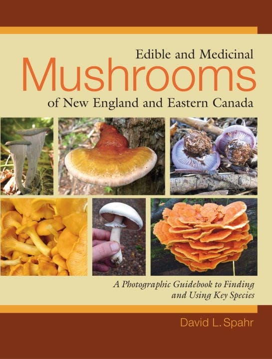 Edible and Medicinal Mushrooms of New England and 9781556437953
