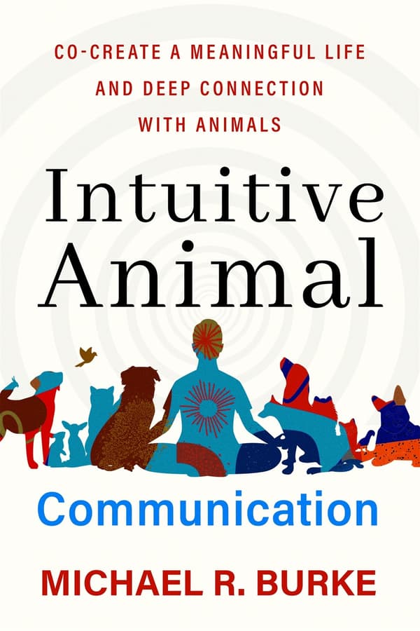 Intuitive Animal Communication 9781837820832