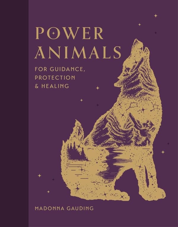 Power Animals 9781841815688