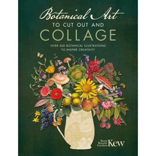 Botanical Art to Cut out and Collage (häftad, eng)
