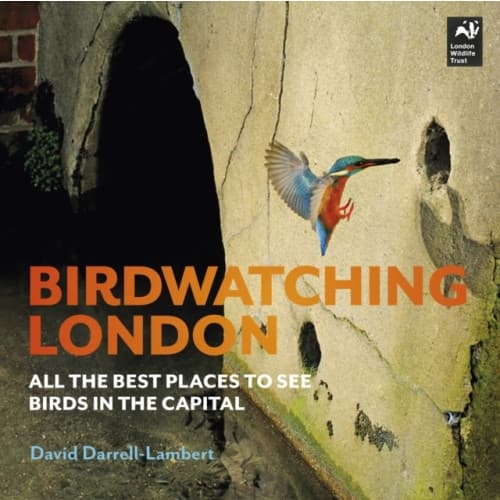 Birdwatching London (häftad, eng)