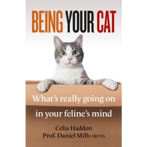 Being Your Cat (häftad, eng)