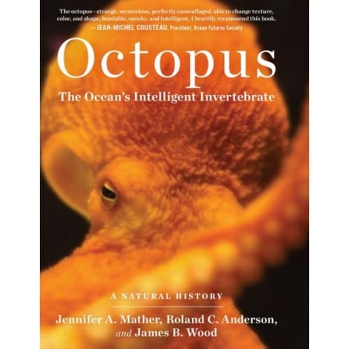 Octopus (inbunden, eng)