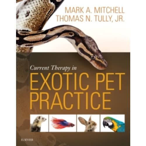 Current Therapy in Exotic Pet Practice (inbunden, eng)