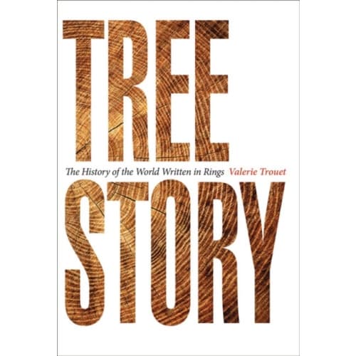 Tree Story (inbunden, eng)