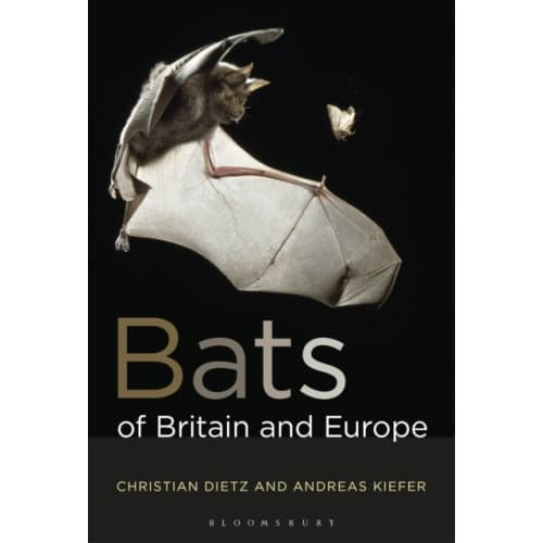 Bats of Britain and Europe (häftad, eng)
