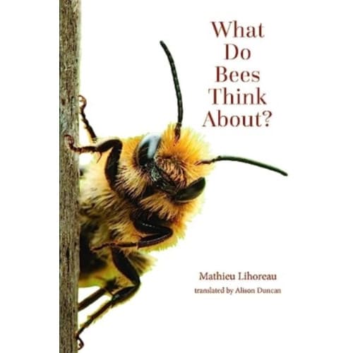 What Do Bees Think About? (häftad, eng)