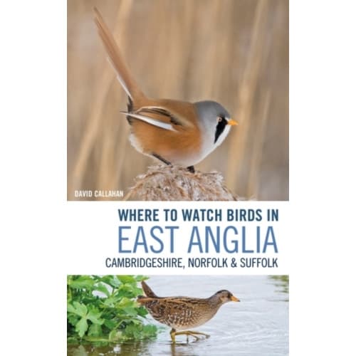 Where to Watch Birds in East Anglia (häftad, eng)