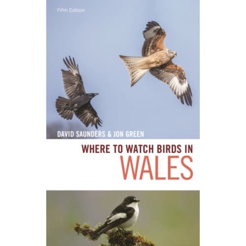 Where to Watch Birds in Wales (häftad, eng)