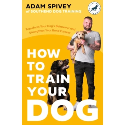 How to Train Your Dog (häftad, eng)