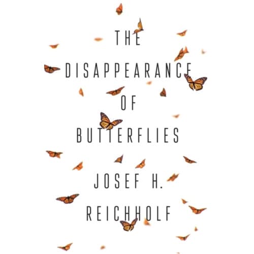 The Disappearance of Butterflies (inbunden, eng)