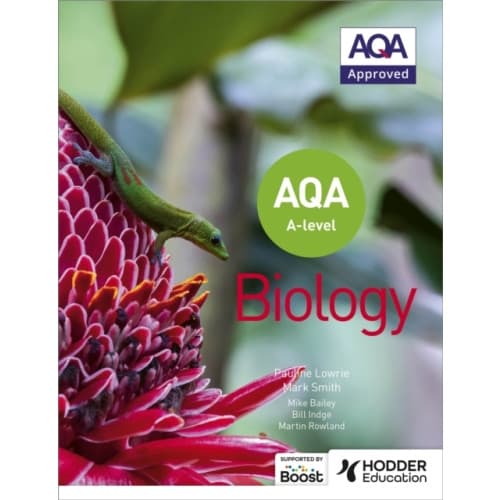 AQA A Level Biology (Year 1 and Year 2) (häftad, eng)