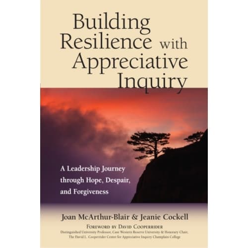 Building Resilience with Appreciative Inquiry (häftad, eng)