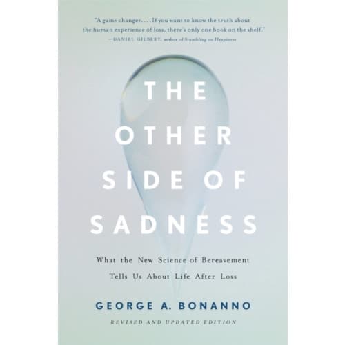 The Other Side of Sadness (Revised) (häftad, eng)