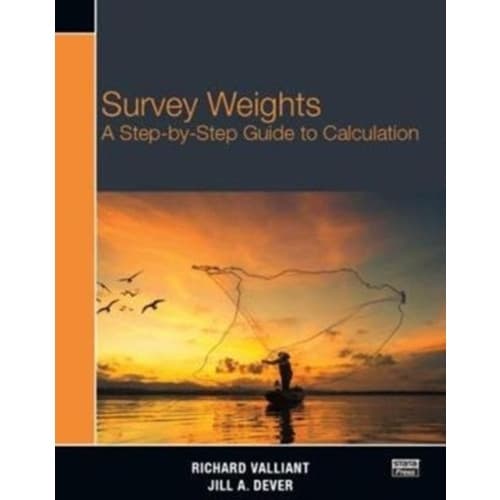 Survey Weights (häftad, eng)