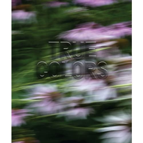 Zora J Murff: True Colors (häftad, eng)