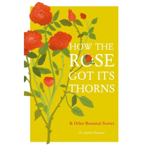 How the Rose Got Its Thorns (inbunden, eng)