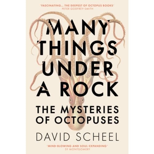 Many Things Under a Rock (inbunden, eng)