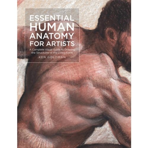 Essential Human Anatomy for Artists (häftad, eng)