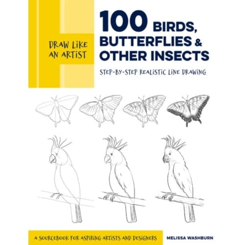 Draw Like an Artist: 100 Birds, Butterflies, and Other Insects (häftad, eng)