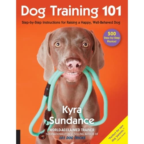 Dog Training 101 (häftad, eng)
