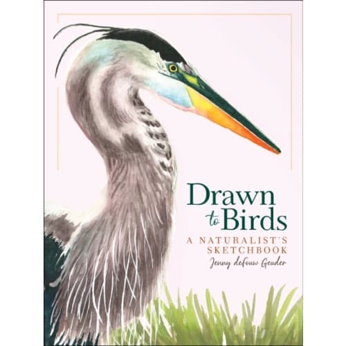 Drawn to Birds (inbunden, eng)