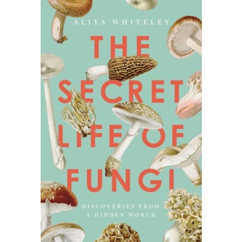 The Secret Life of Fungi (häftad, eng)
