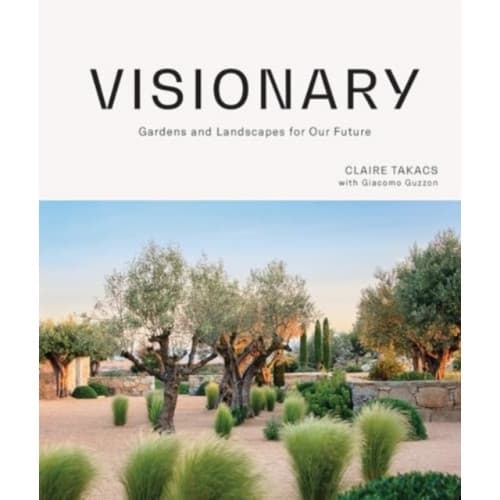Visionary (inbunden, eng)