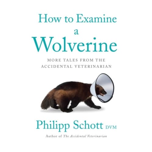 How To Examine A Wolverine (häftad, eng)