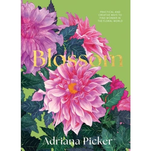 Blossom (inbunden, eng)
