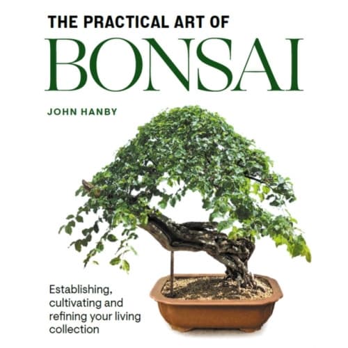Practical Art of Bonsai (häftad, eng)