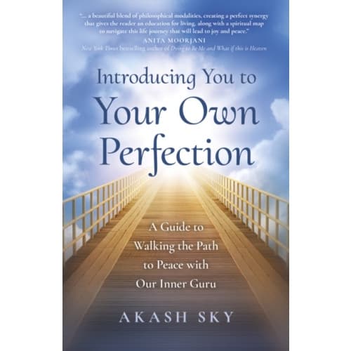 Introducing You to Your Own Perfection (häftad, eng)
