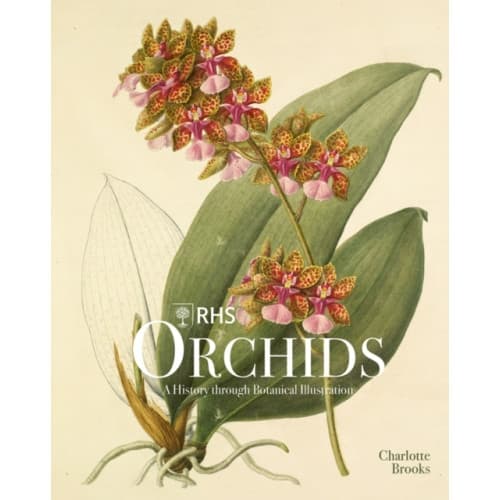 RHS Orchids (inbunden, eng)
